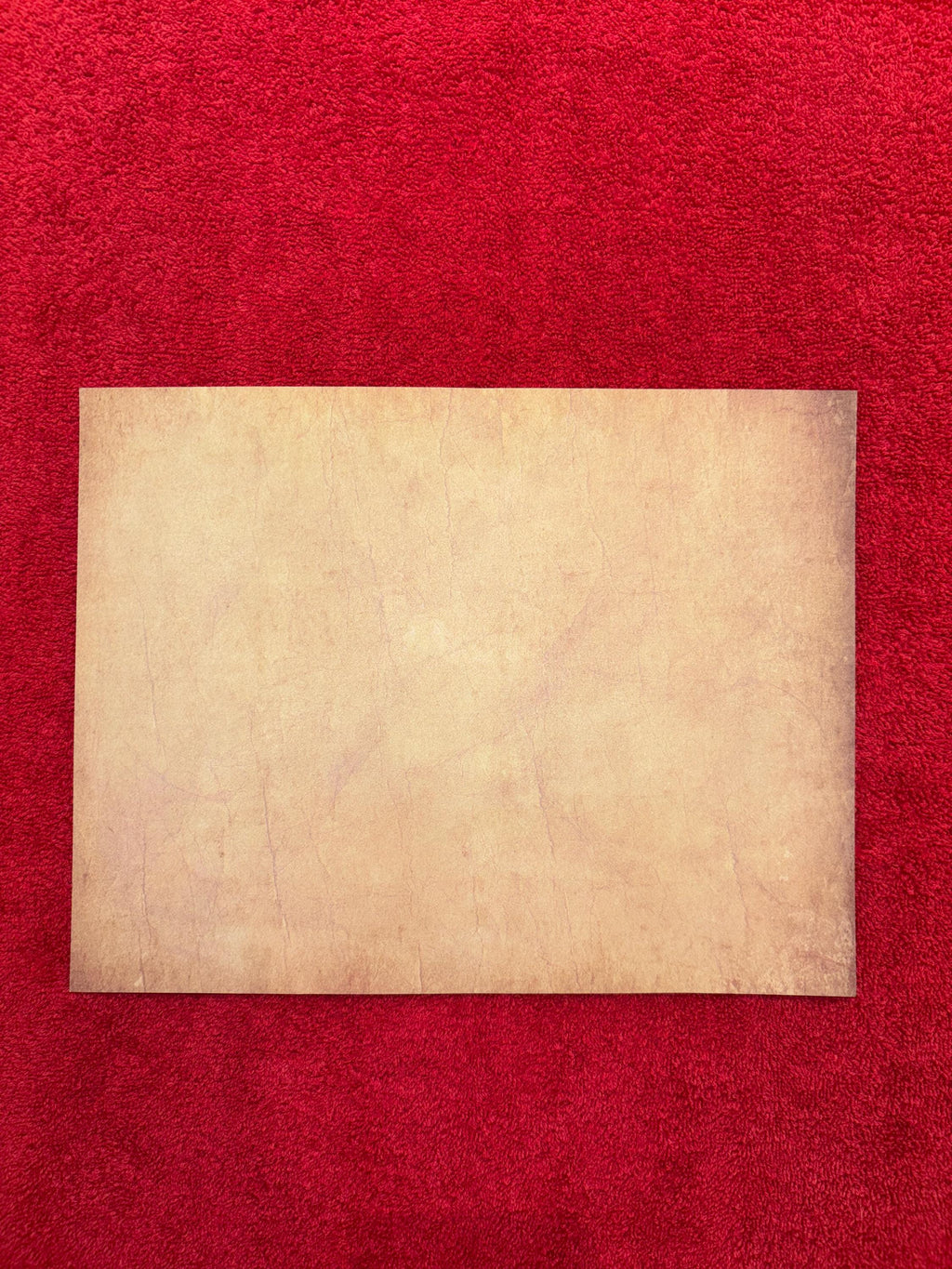 Skyrim Customizable College of Winterhold Degree Certificate