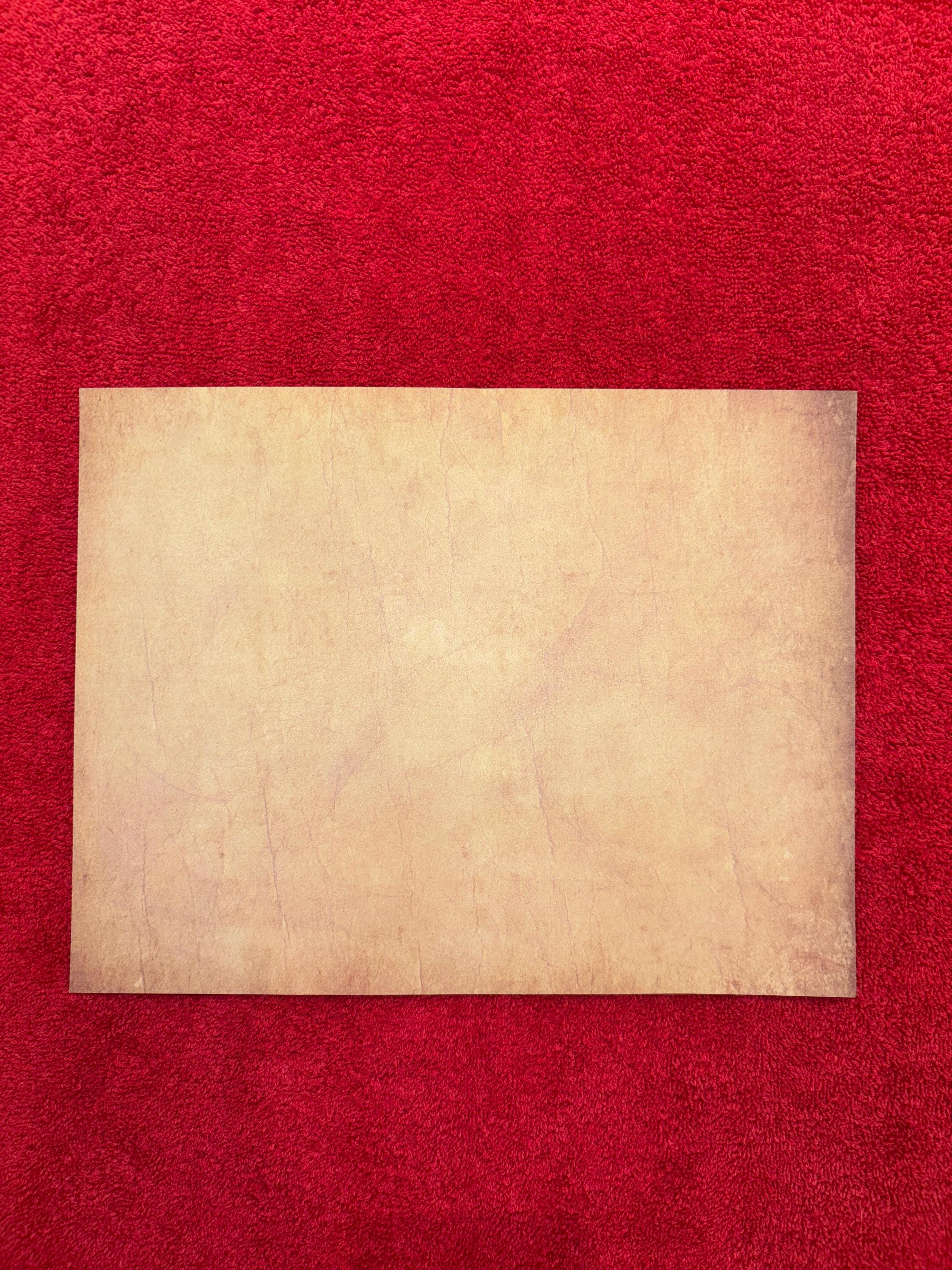 Skyrim Customizable College of Winterhold Degree Certificate